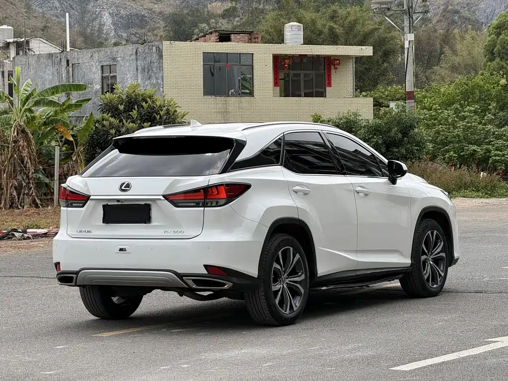 Lexus RX 2020 — фото 22
