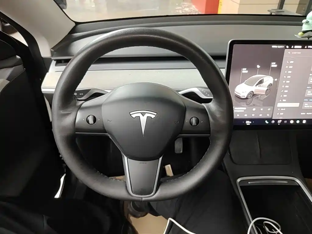 Tesla Model Y 2023 — фото 11
