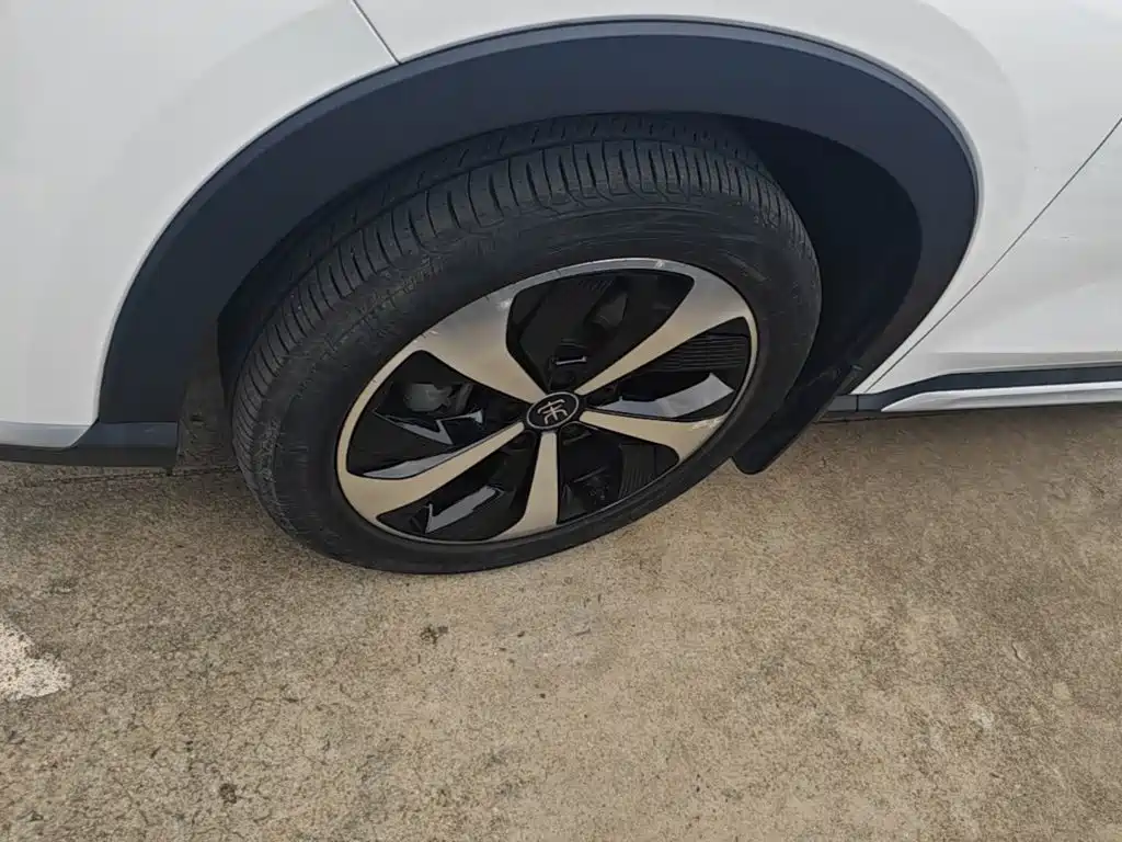 BYD PLUS New Energy 2022 — фото 23
