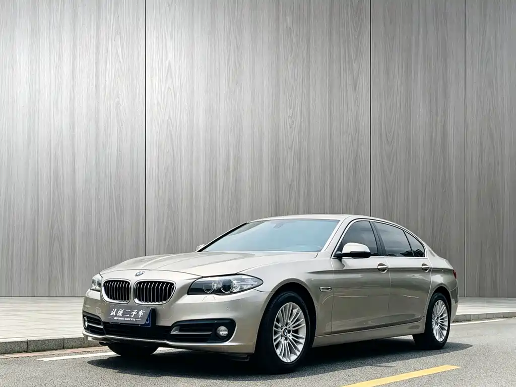 BMW 5 Series 2014 — фото 1