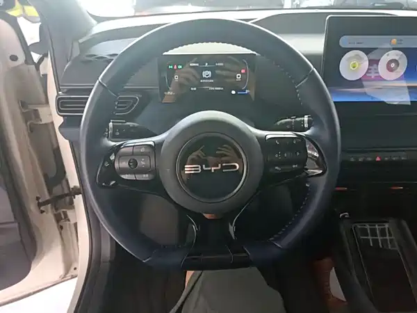 BYD Seagull 2024