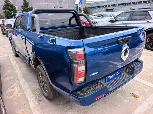 Great Wall Poer 2024