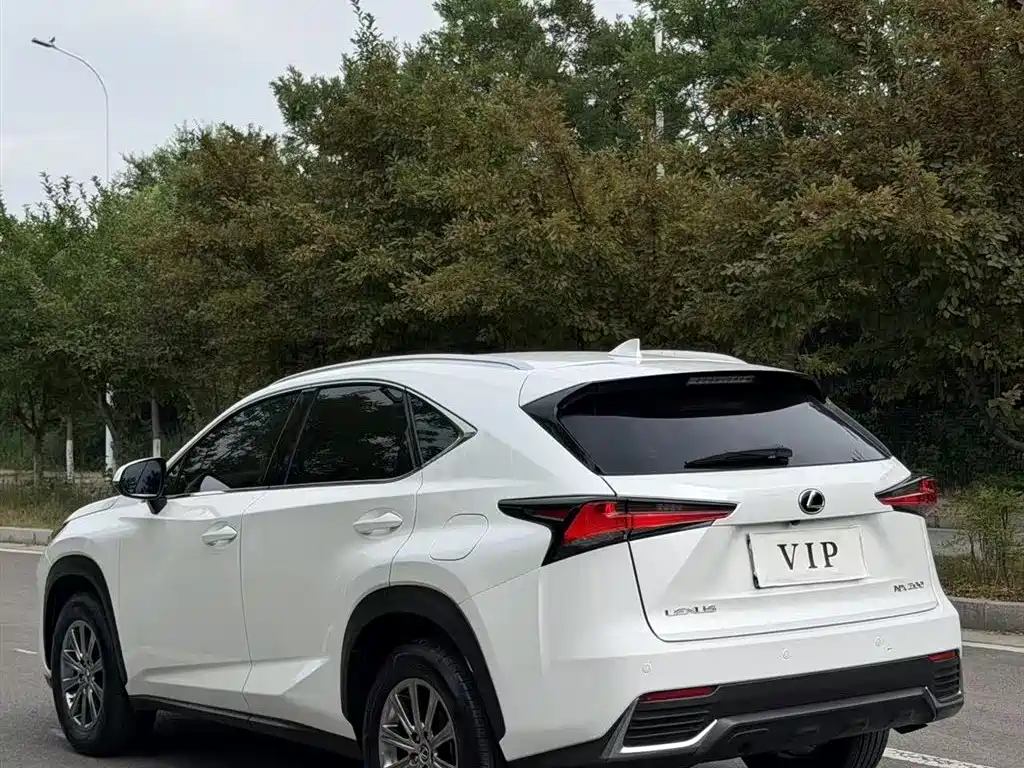 Lexus NX 2020 — фото 8