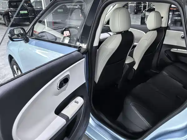 Dongfeng Nano 01 2024