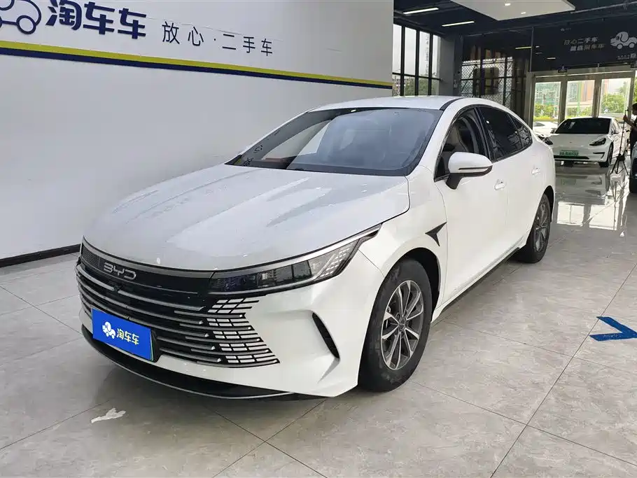 BYD Destroyer 05 2023 — фото 1