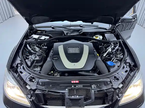 Mercedes-Benz S-Class 2010