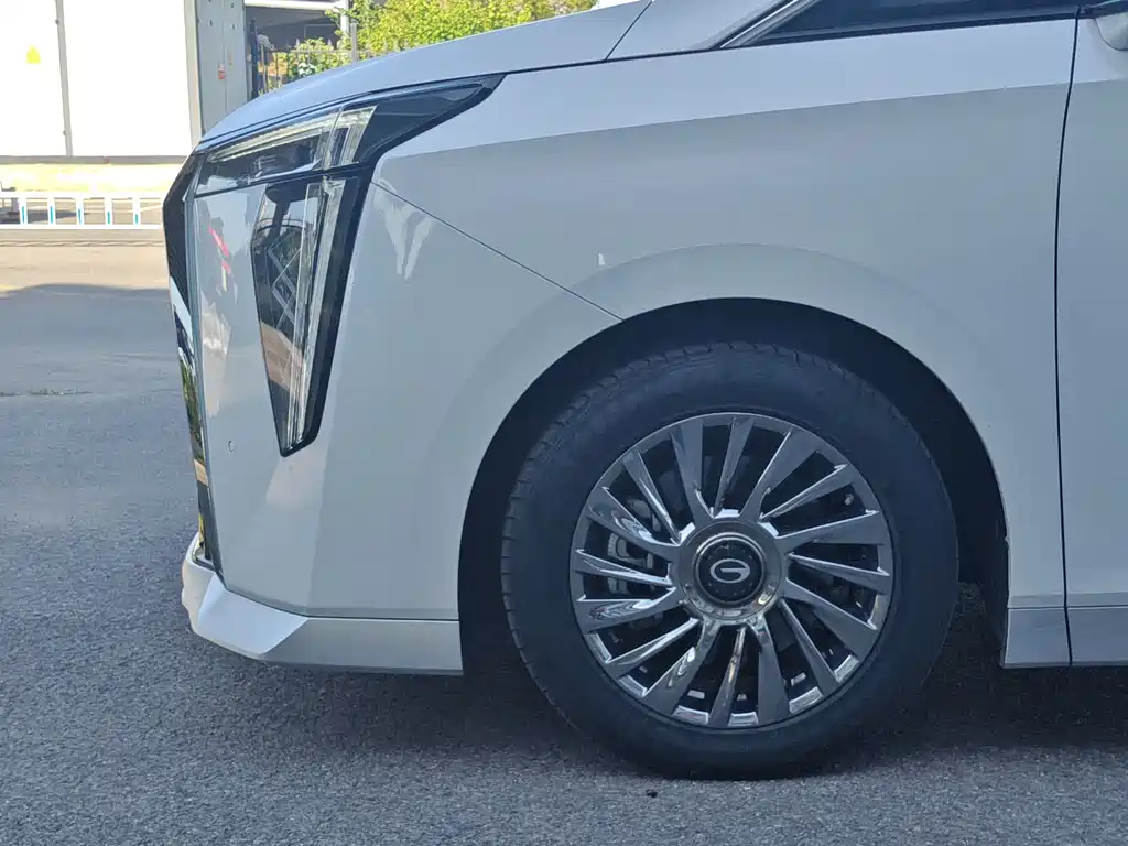 GAC Motor Trumpchi M8 2023 — фото 25