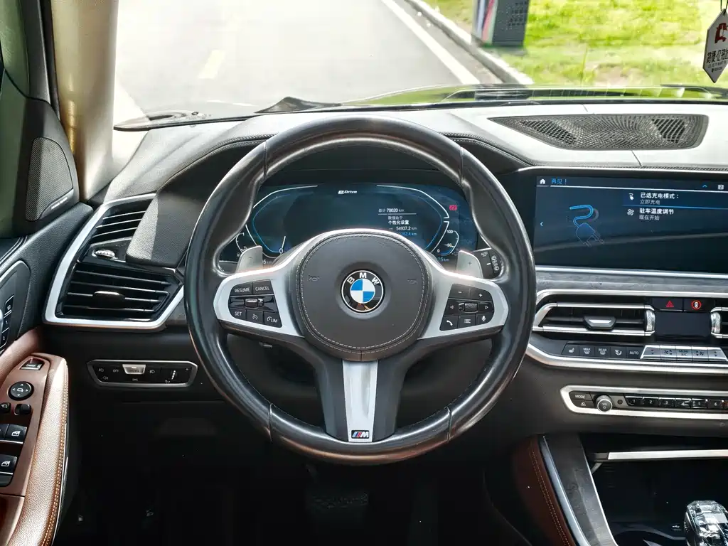 BMW X5 New Energy 2021 — фото 4