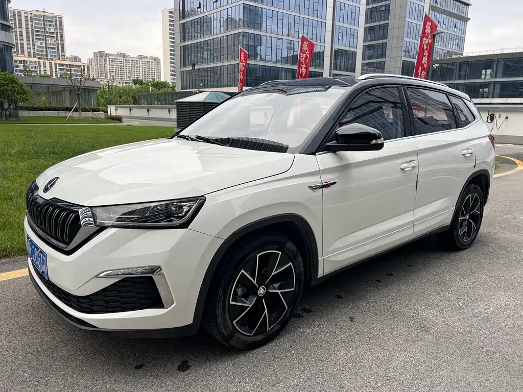 Skoda Kamiq 2022 — фото 1