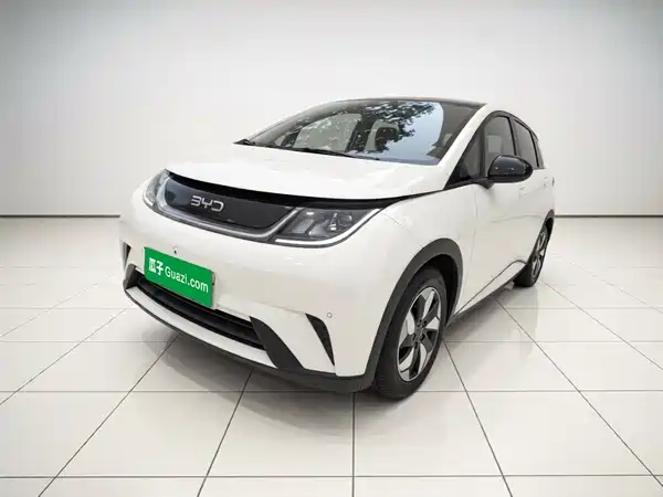 BYD Dolphin 2025