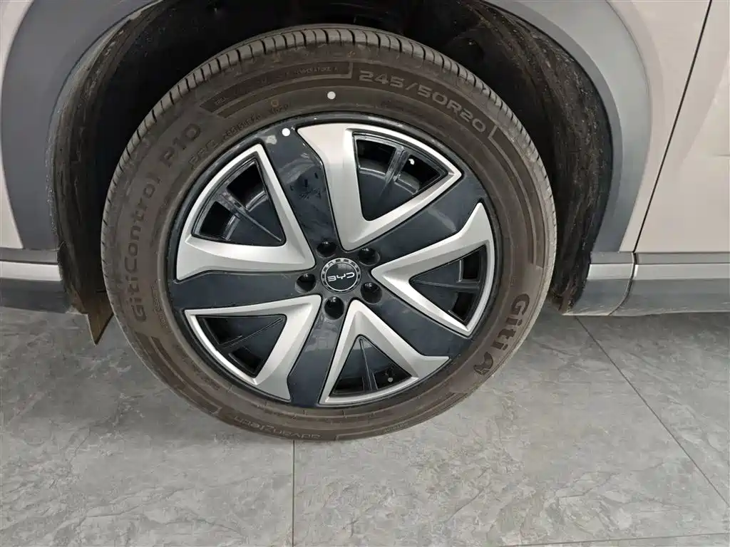 BYD Sealion 07 DM-i 2025 — фото 23