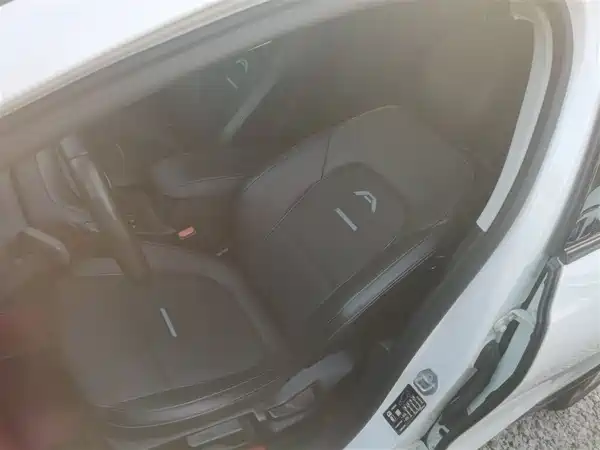 Ford Fox Active 2020