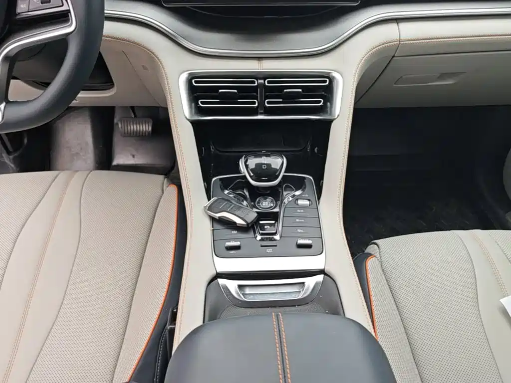 BYD PLUS New Energy 2023 — фото 14