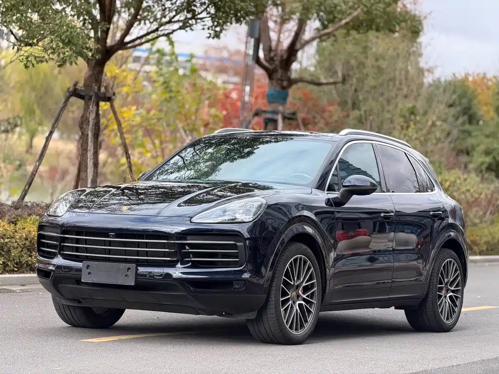 Porsche Cayenne 2020 — фото 1