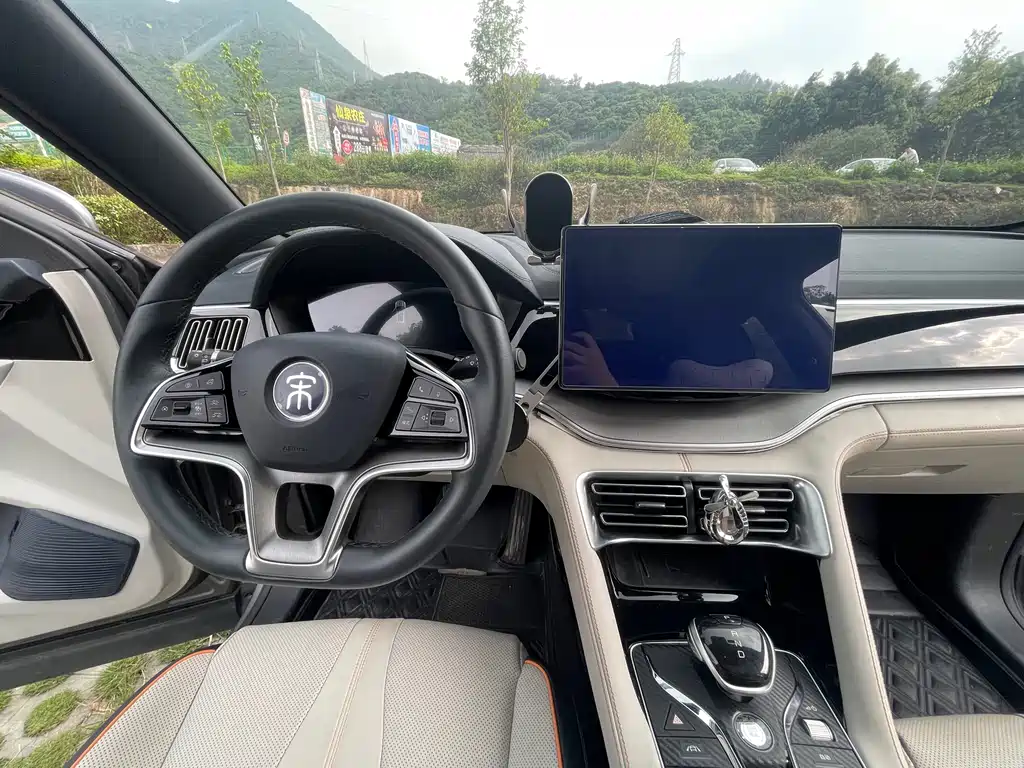 BYD PLUS New Energy 2022 — фото 4