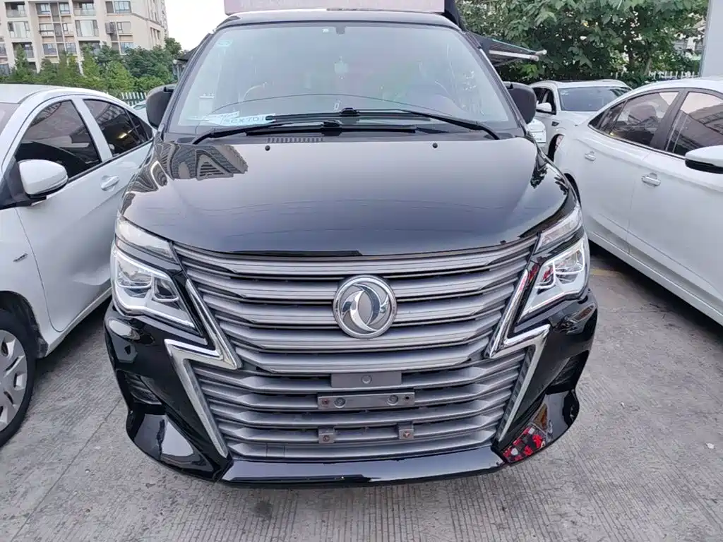 Dongfeng Lingzhi 2020