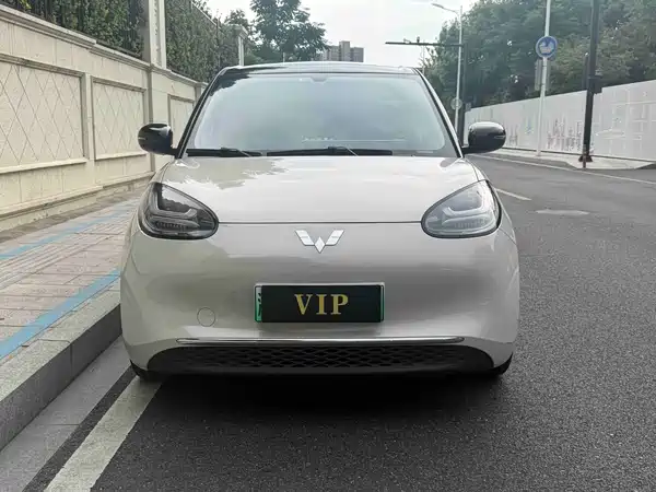 Wuling Bingo 2024