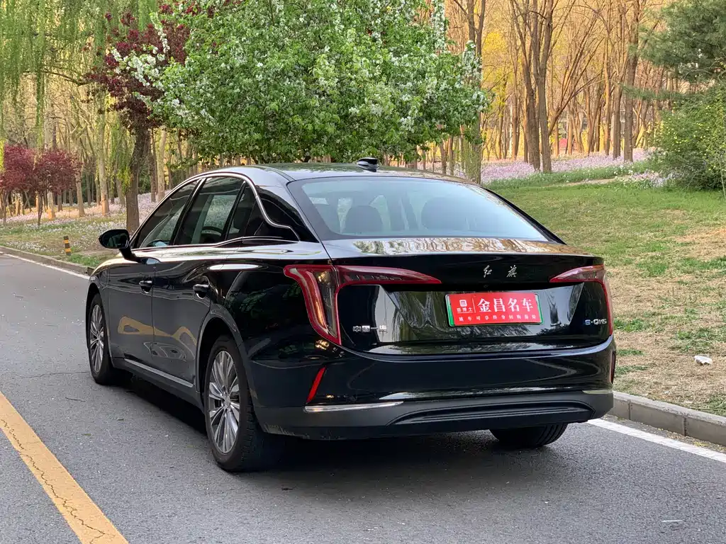 Hongqi E-QM5 2022 — фото 6