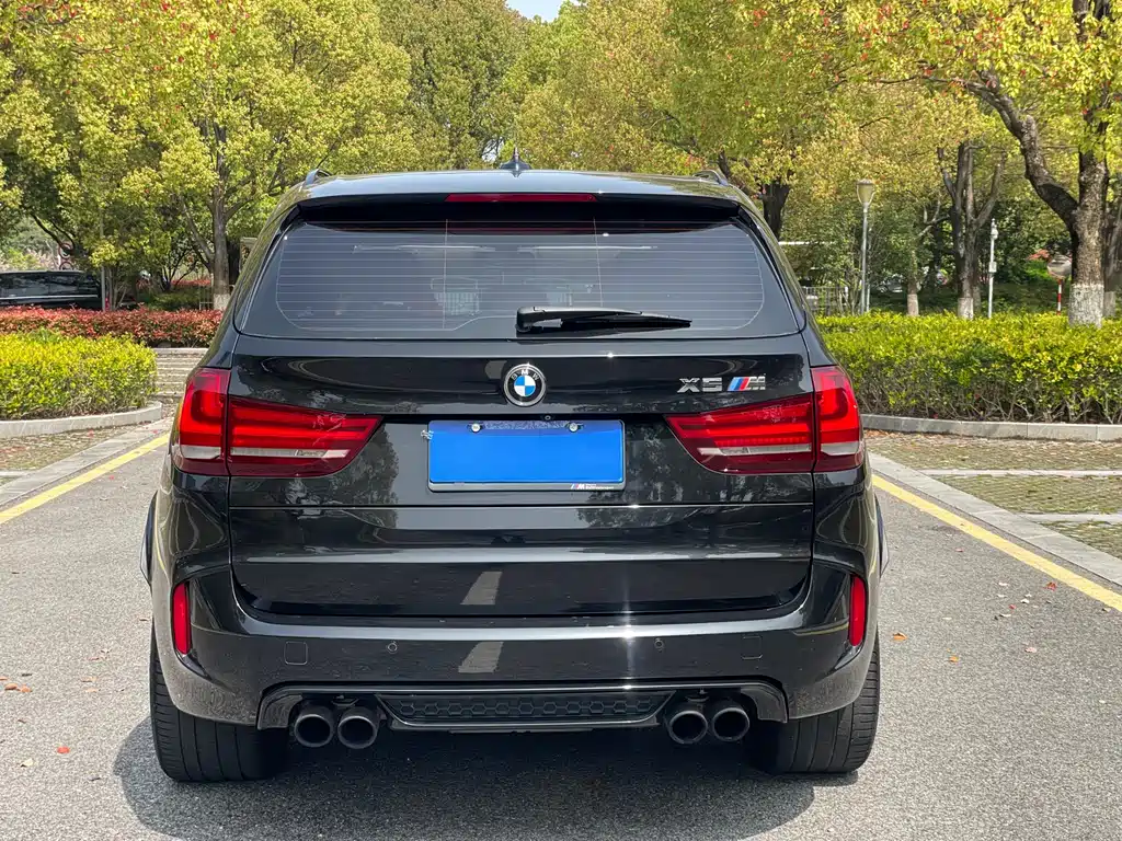 BMW X5 M 2016 — фото 10