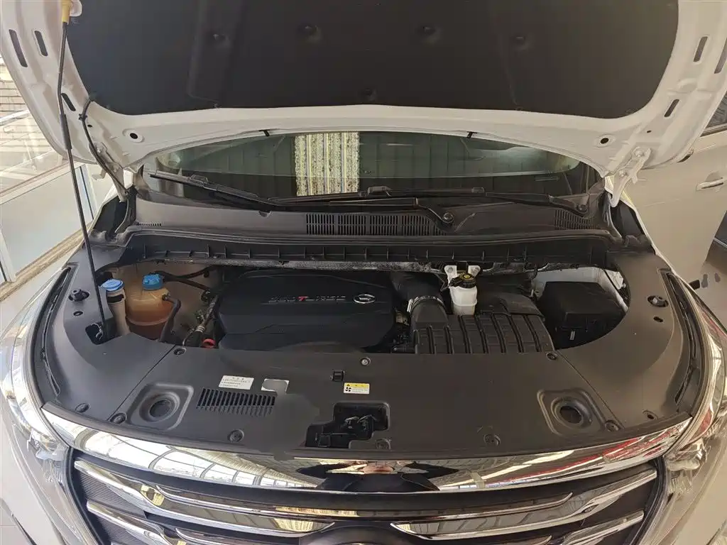 GAC Motor Trumpchi M8 2020 — фото 20