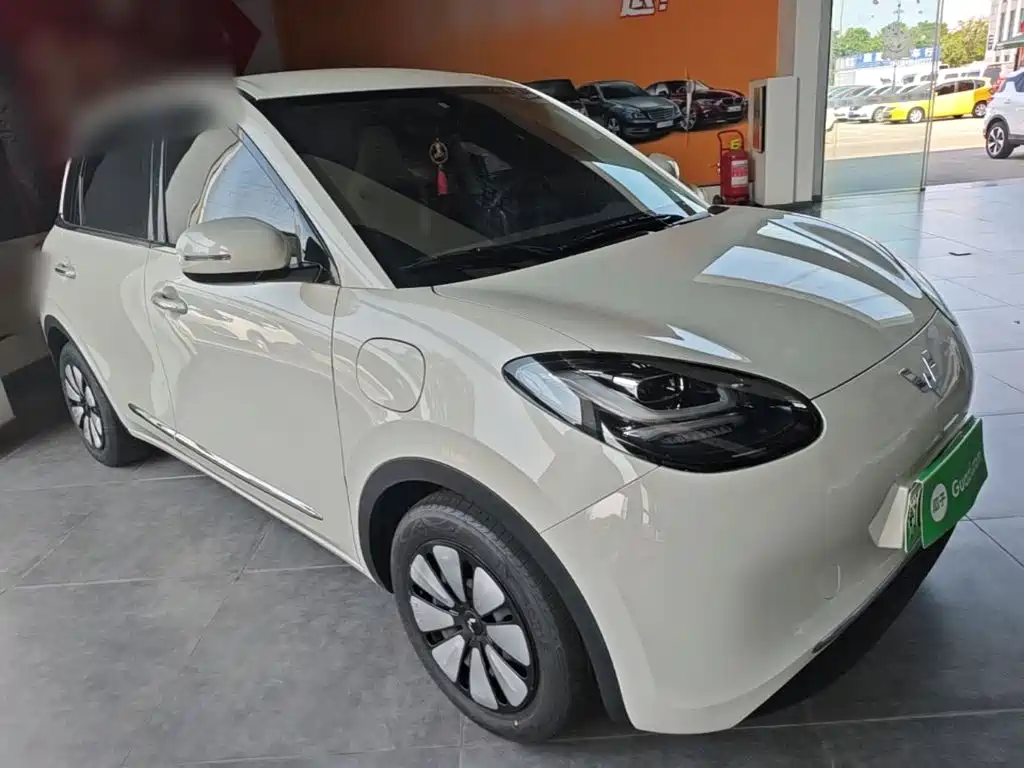 Wuling Bingo 2024