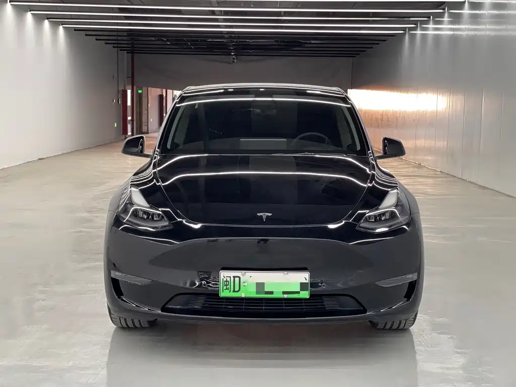 Tesla Model Y 2021 — фото 2