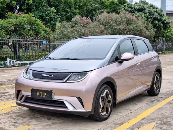 BYD Dolphin 2022
