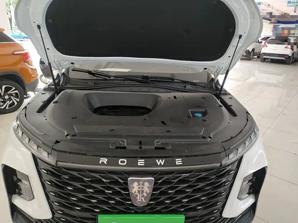 Roewe RX5 MAX 2022 — фото 16
