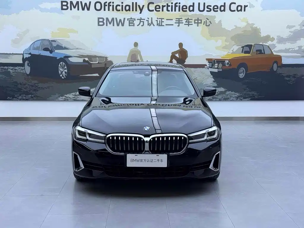 BMW 5 Series New Energy 2020