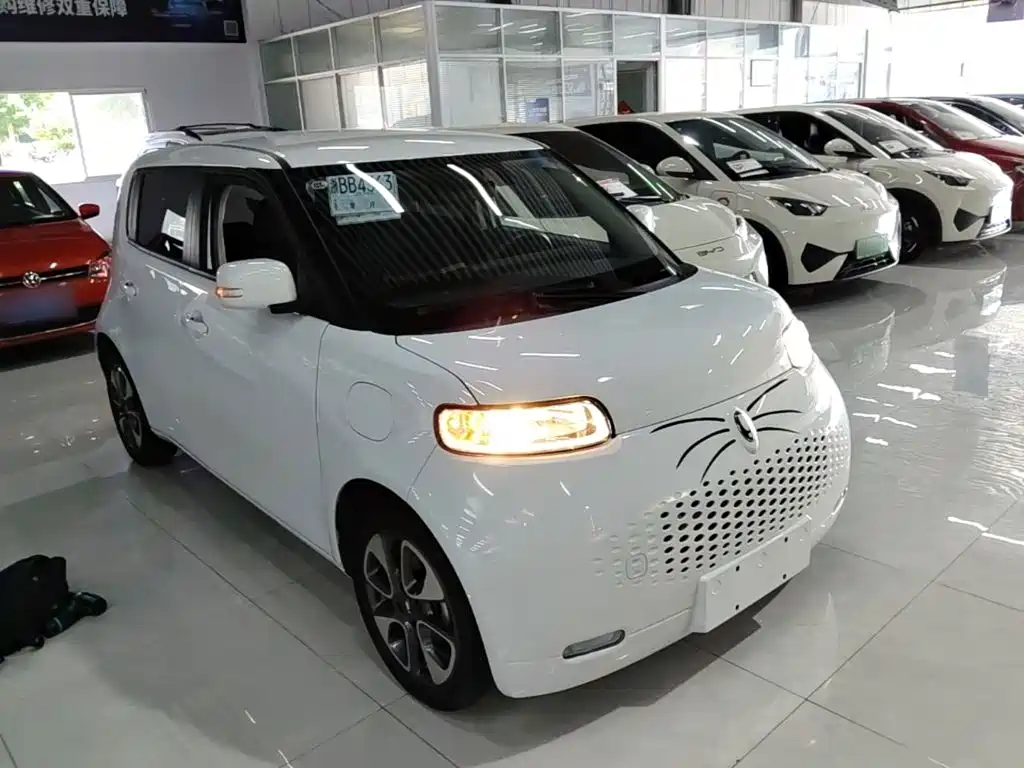 Ora White Cat 2022