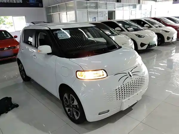 Ora White Cat 2022