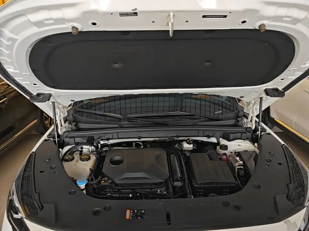 Roewe RX5 New Energy 2025 — фото 20