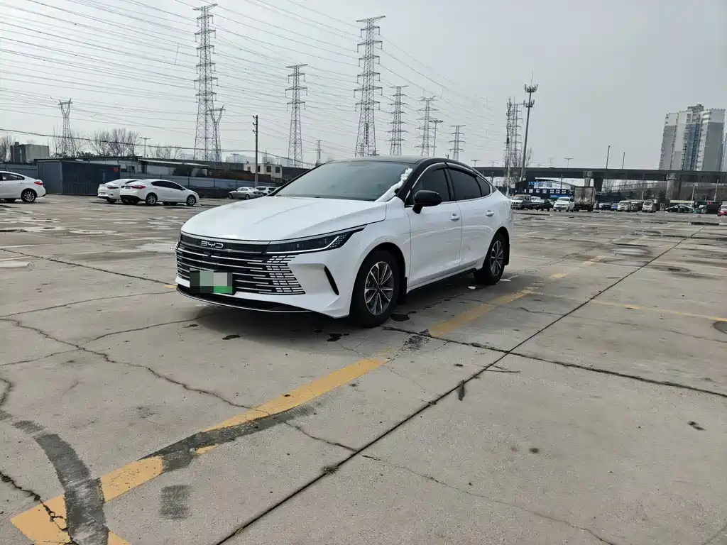 BYD Destroyer 05 2024 — фото 1