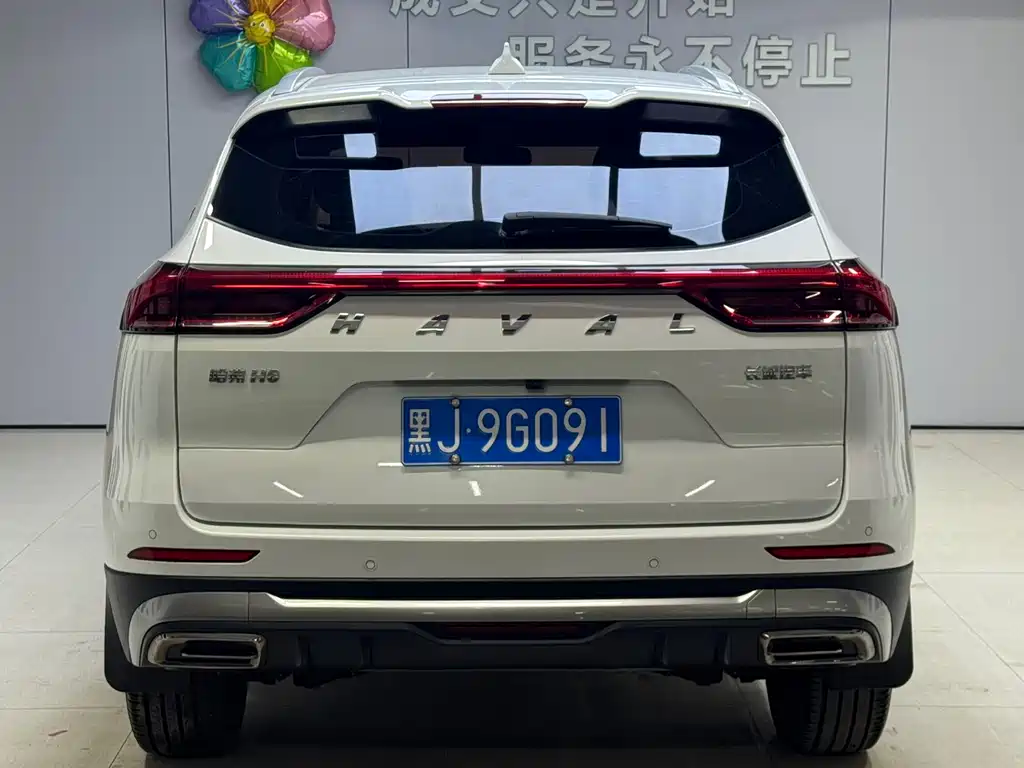 Haval H6 2023 — фото 8