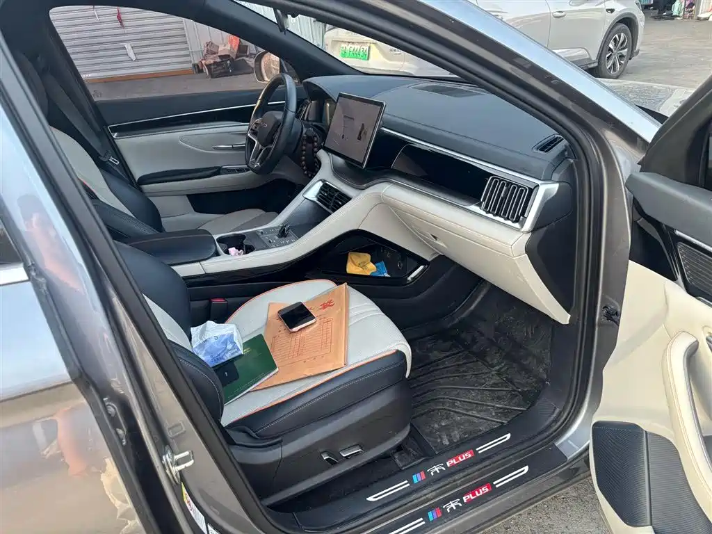 BYD PLUS New Energy 2023 — фото 4