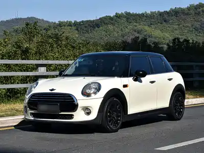 MINI MINI 2016