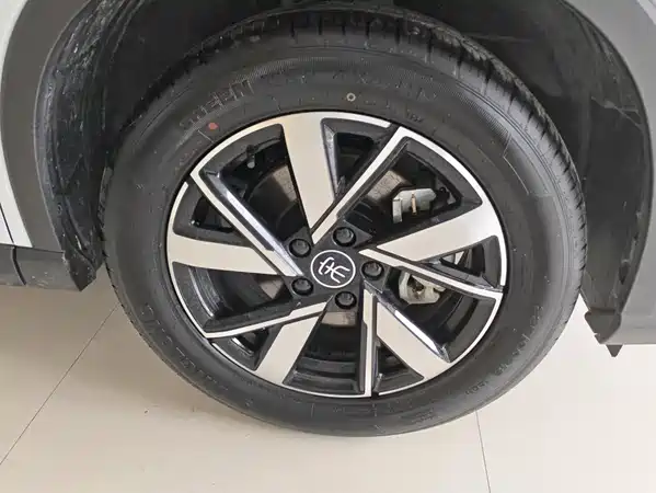 BYD Song Pro New Energy 2024