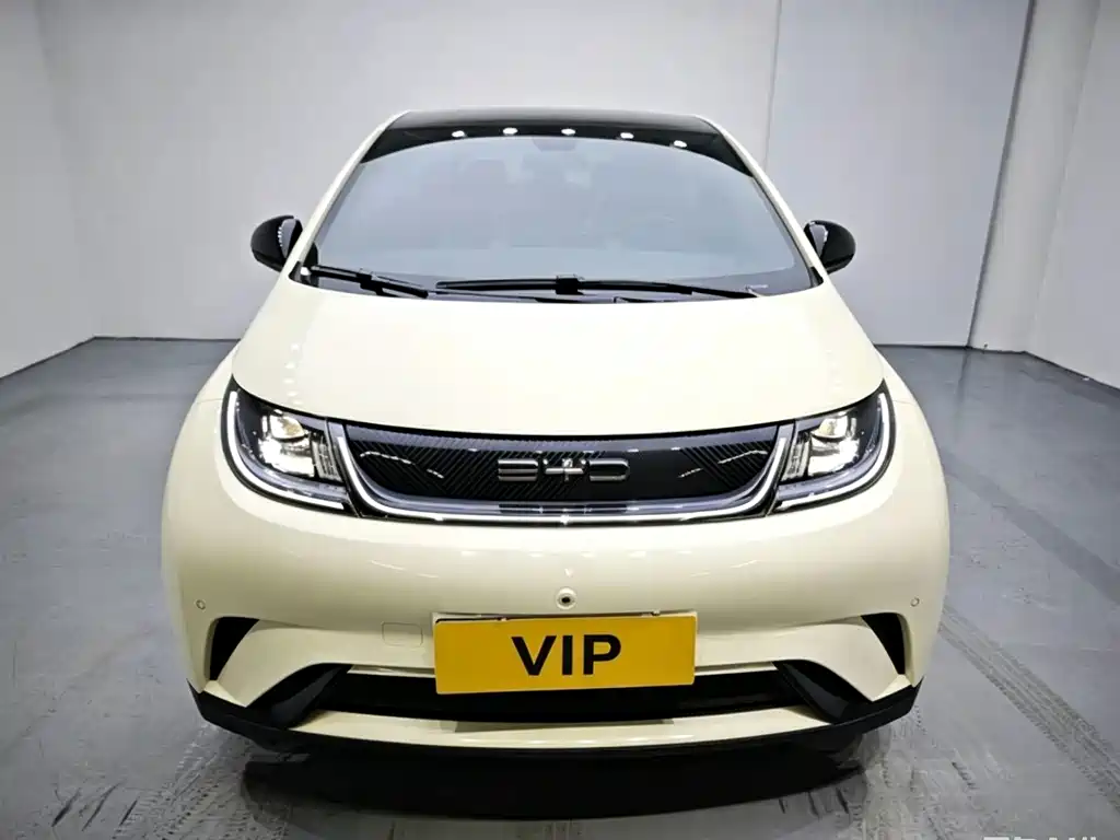 BYD Dolphin 2024