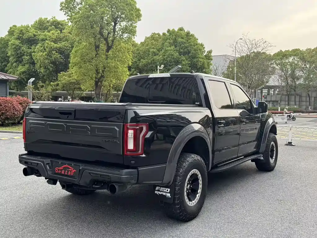 Ford F-150 Raptor 2019 — фото 5