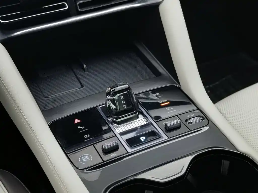 BYD Song PLUS New Energy 2024 — фото 13