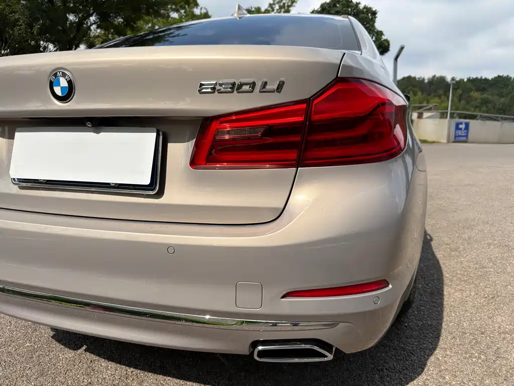 BMW 5 Series 2017 — фото 34