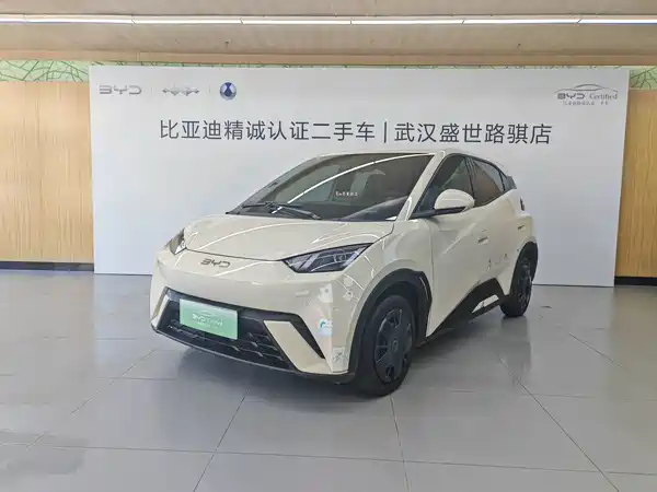 BYD Seagull 2024