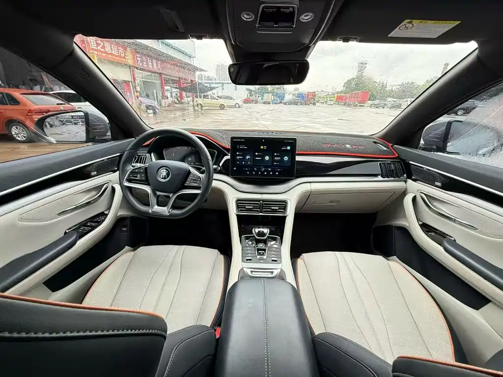 BYD Song PLUS New Energy 2021 — фото 8