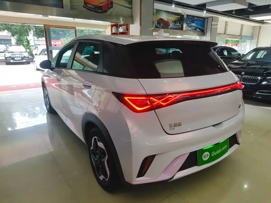 BYD Dolphin 2022