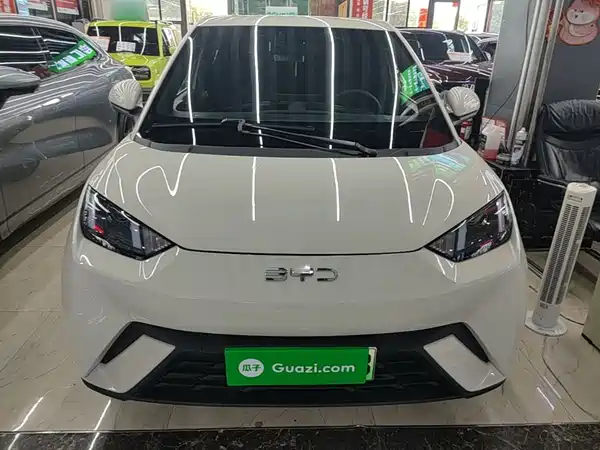 BYD Seagull 2025