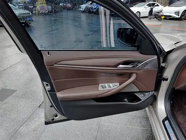 BMW 5 Series New Energy 2021