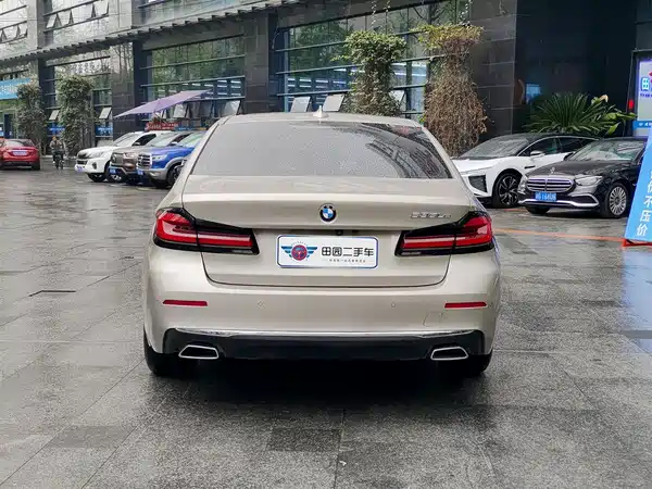 BMW 5 Series New Energy 2021