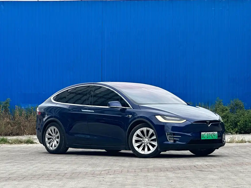 Tesla Model X 2019 — фото 3