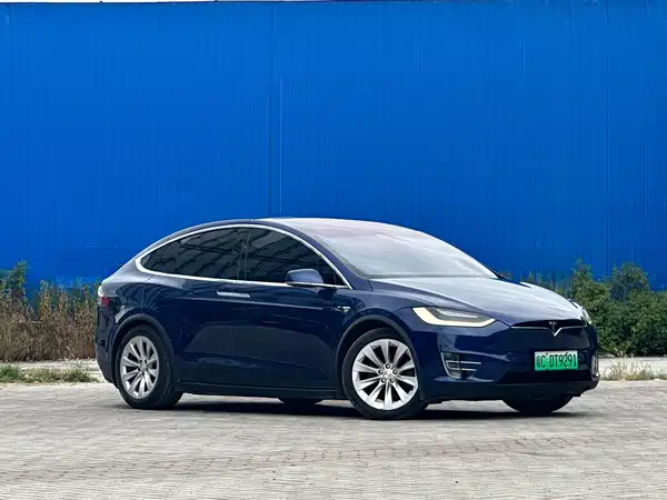 Tesla Model X 2019