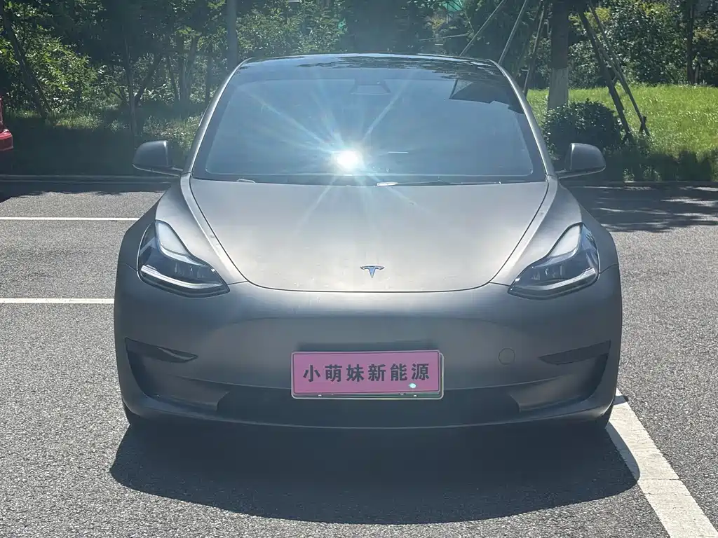 Tesla Model 3 2021